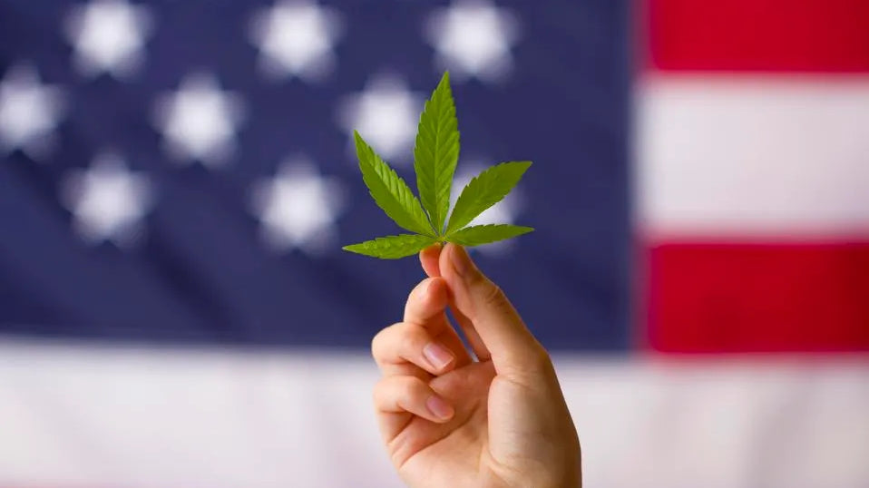 Federal and State Crackdowns: The Future of Hemp-Derived Cannabinoids