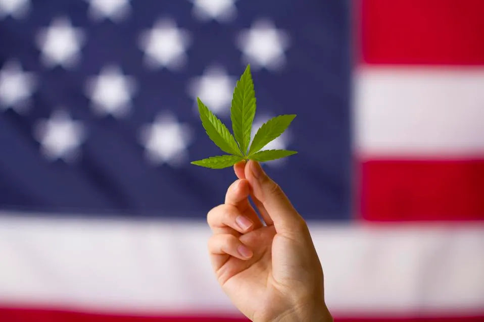 Federal and State Crackdowns: The Future of Hemp-Derived Cannabinoids
