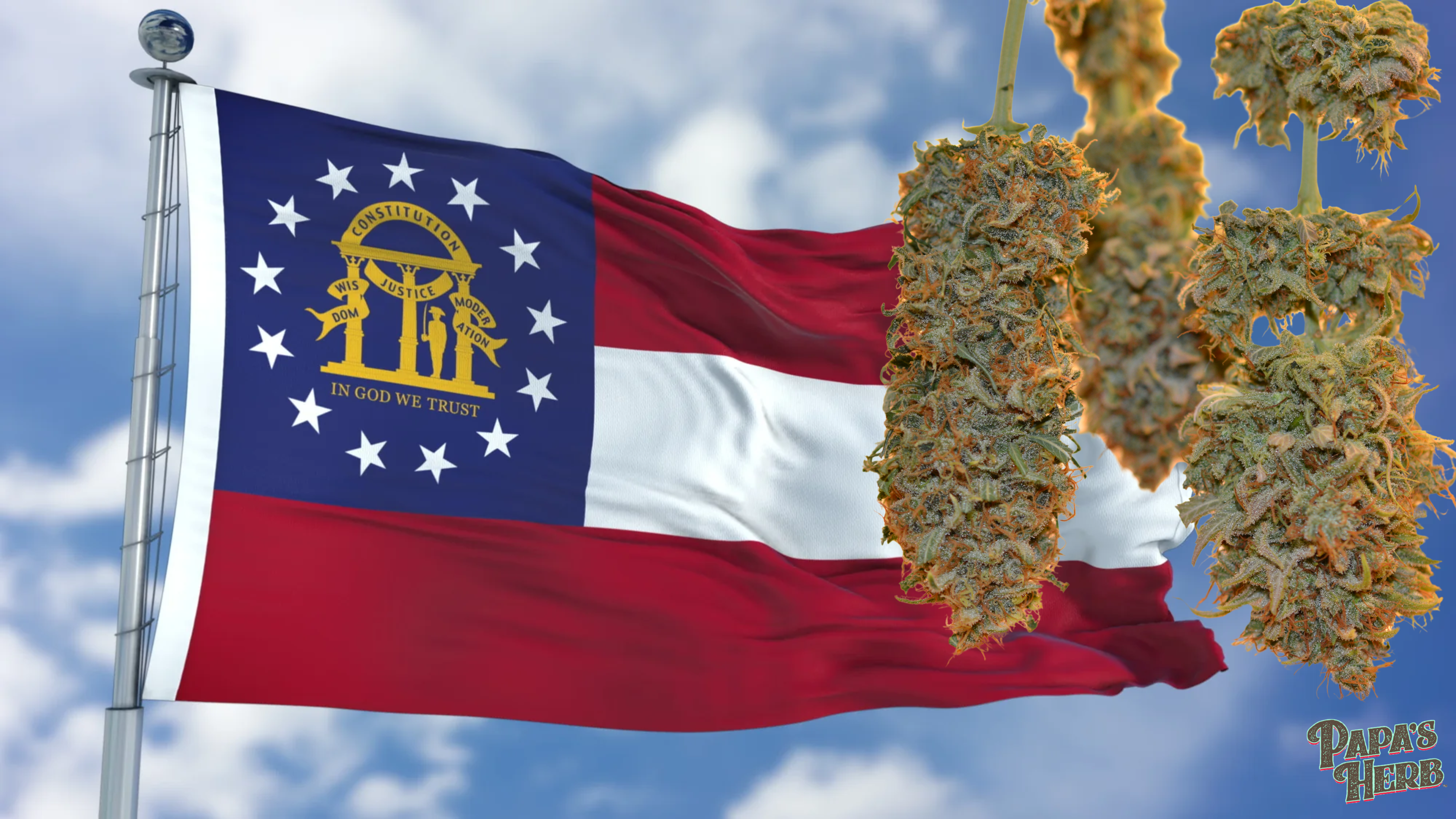 Where to Buy THCA in Georgia (2025 Guide)