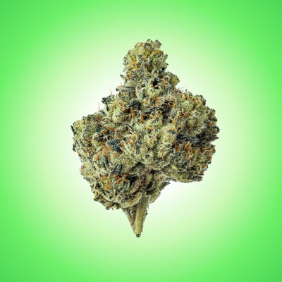 Watermelon Z Flower