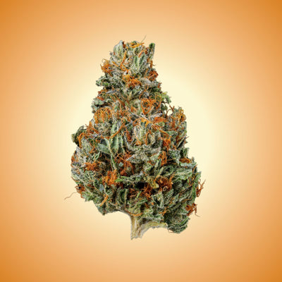 Apple Fritter