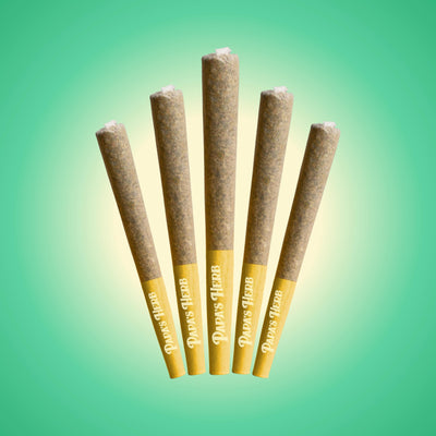 GSC Infused Pre-Rolls