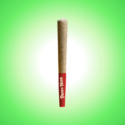 Watermelon Z Pre-Rolls